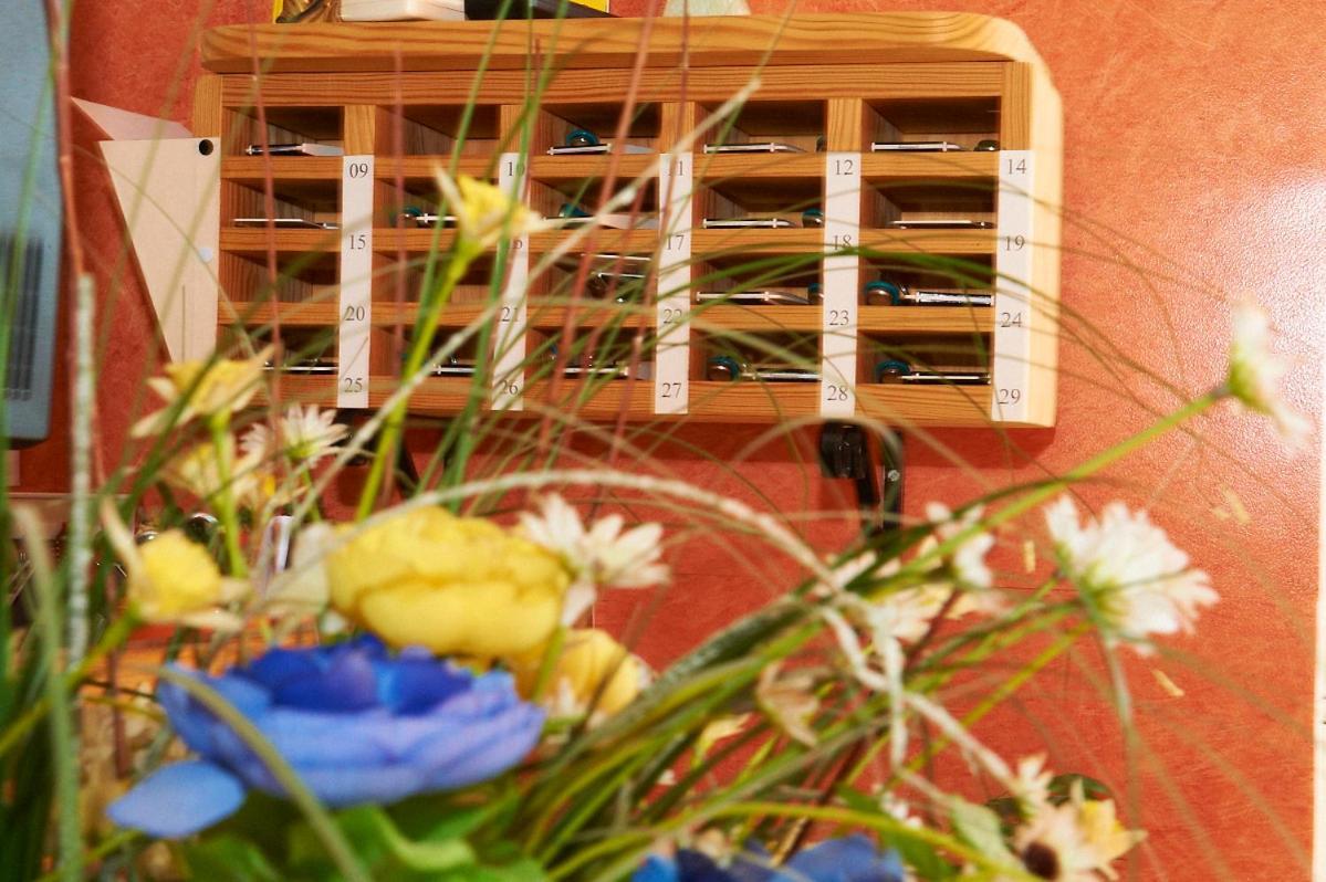 Hotel Le Relais Fleurance Εξωτερικό φωτογραφία